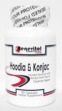 Hodia & Konjac - Hoodia Cactus