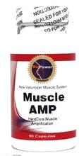 AMP Muscle # # dur amplification