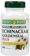 Echinacea Bounty Nature &