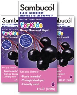 Sambucol Enfants Sirop, sureau noir, 4 onces