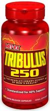 MET-Rx Tribulus 250 -- 250 mg - 90