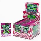 Energy Now Ginkgo Biloba 24PQT Box