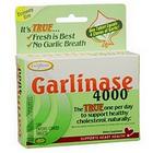 Garlinase Enzymatic Therapy, 100