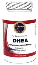 La déhydroépiandrostérone DHEA