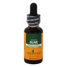 Herb Pharm - Extrait d'olive - 1