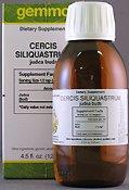 Cercis Siliquastrum 125 ml
