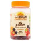 Sundown Naturals La vitamine B12