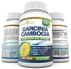 80% HCA Garcinia Cambogia Extrait