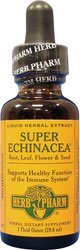 Herb Pharm savoir Echinacea Extract - 1 Oz