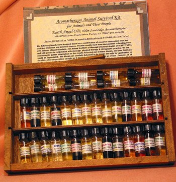 Aromatherapy Earthangeloils Essential Oils Kit by Helen Stembridge-