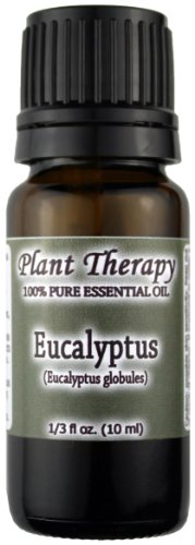 Huile essentielle d'eucalyptus. 10 ml. 100% Pure, non dilué, de grade thérapeutique.