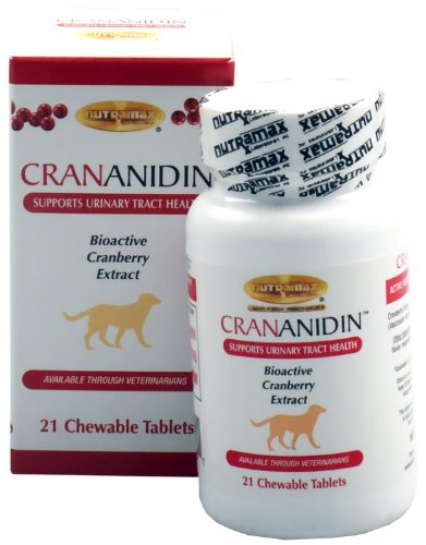 Crananidin Soutien des voies urinaires (21 Comprimés à croquer)