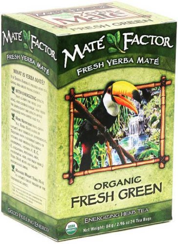 Le second facteur Yerba Mate énergisant sachet de thé aux herbes, Organic Fresh Green, 24-Count Box