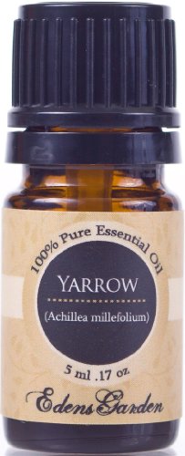 Yarrow 100% Pure thérapeutique grade huile essentielle 5 ml