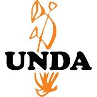 Betula pendula (SAP) 125 ml gemmothérapie UNDA Brand: UNDA